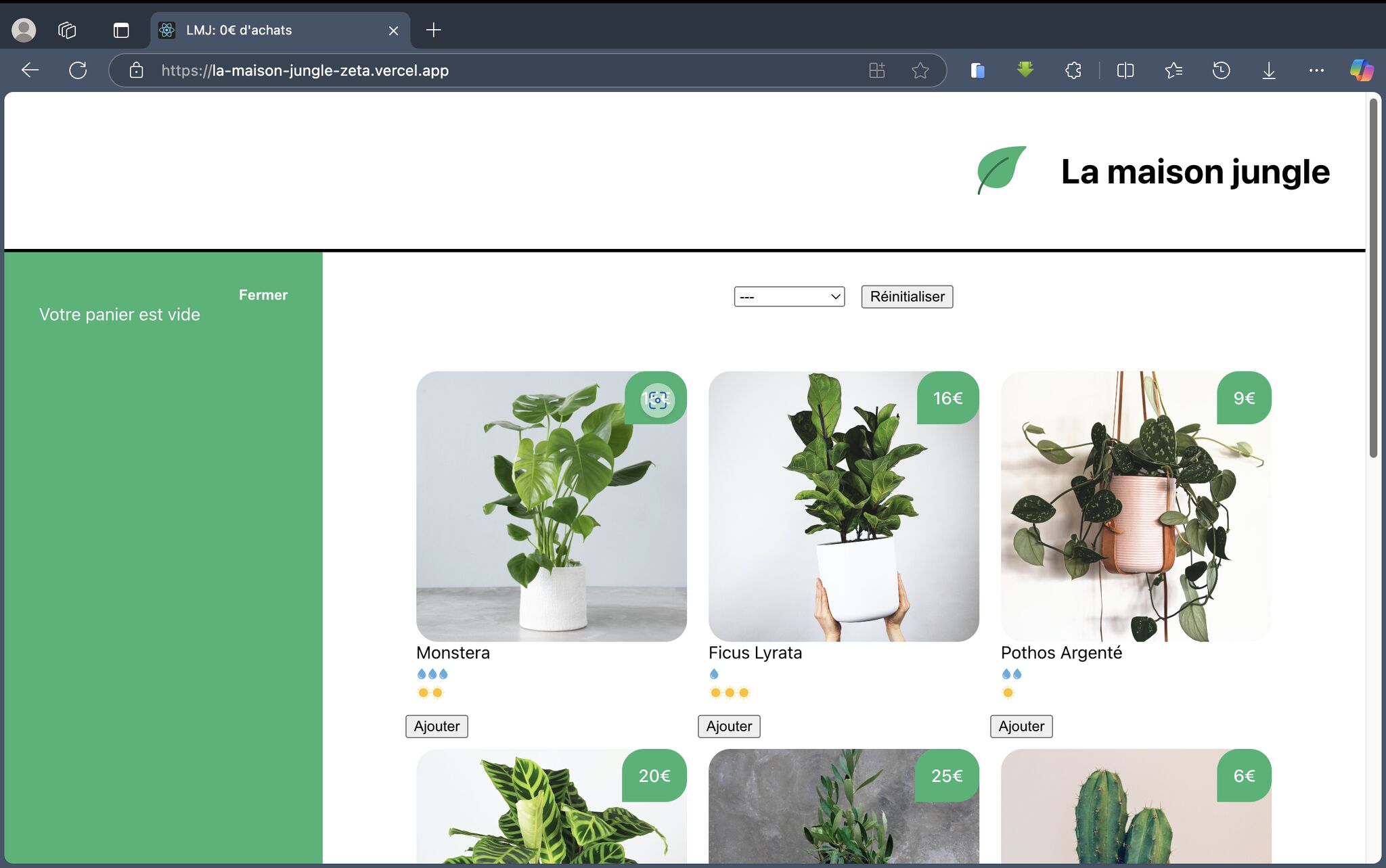 Portfolio Item